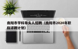 南阳市学科带头人招聘（南阳市2020年职称评聘计划）