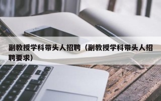 副教授学科带头人招聘（副教授学科带头人招聘要求）
