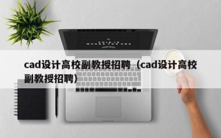 cad设计高校副教授招聘（cad设计高校副教授招聘）