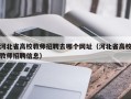 河北省高校教师招聘去哪个网址（河北省高校教师招聘信息）