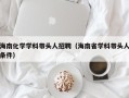 海南化学学科带头人招聘（海南省学科带头人条件）