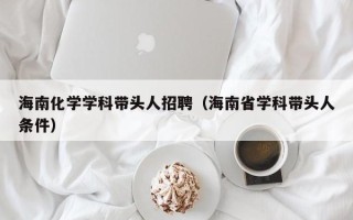 海南化学学科带头人招聘（海南省学科带头人条件）