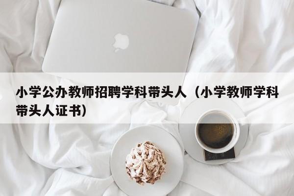 小学公办教师招聘学科带头人（小学教师学科带头人证书）-第1张图片-ZBLOG