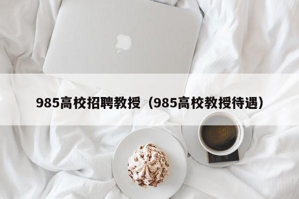 985高校招聘教授（985高校教授待遇）-第1张图片-ZBLOG