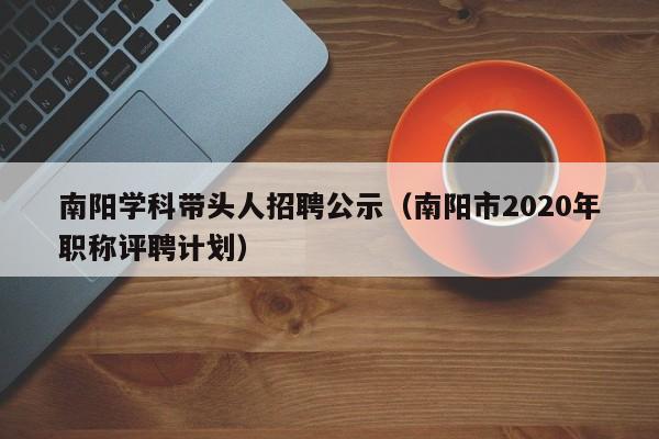 南阳学科带头人招聘公示（南阳市2020年职称评聘计划）-第1张图片-ZBLOG